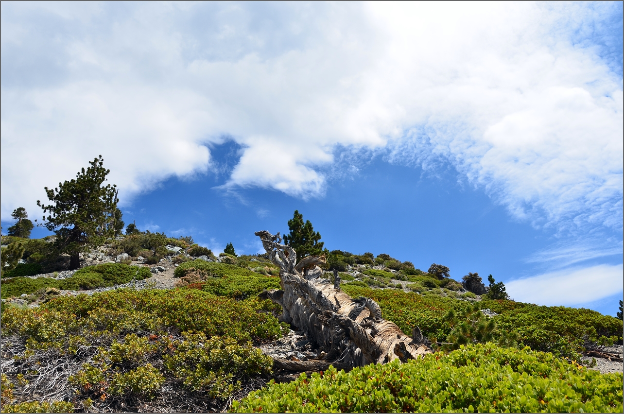 Baldy 028.jpg