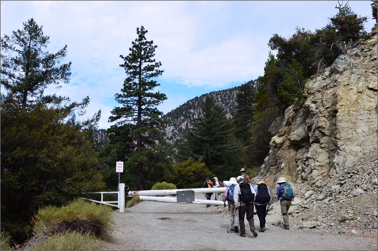 Baldy 022.jpg