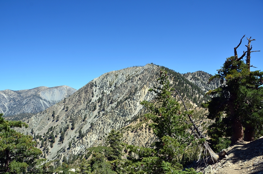 DSC_4845.JPG