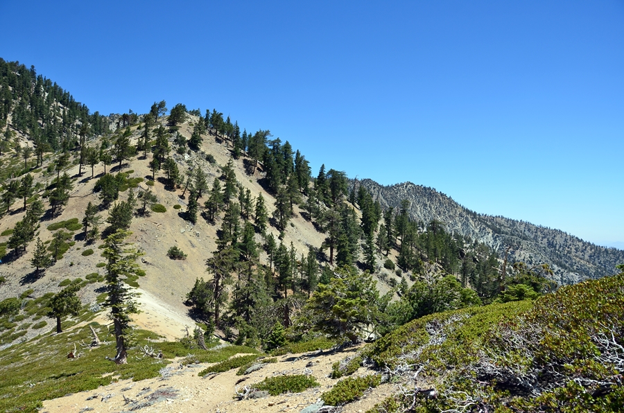 DSC_4853.JPG