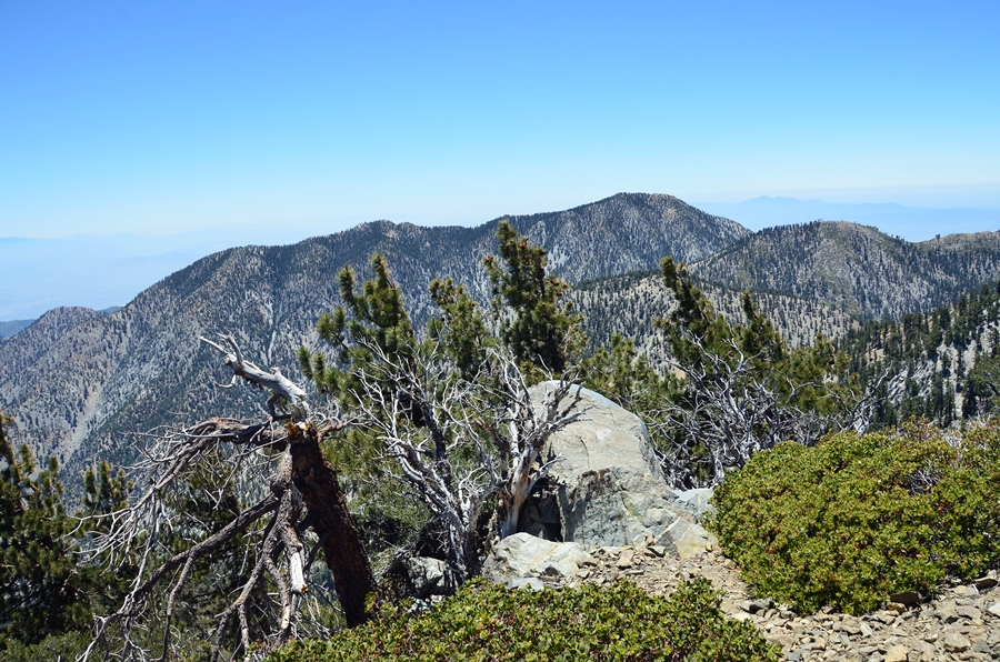 DSC_4918.JPG