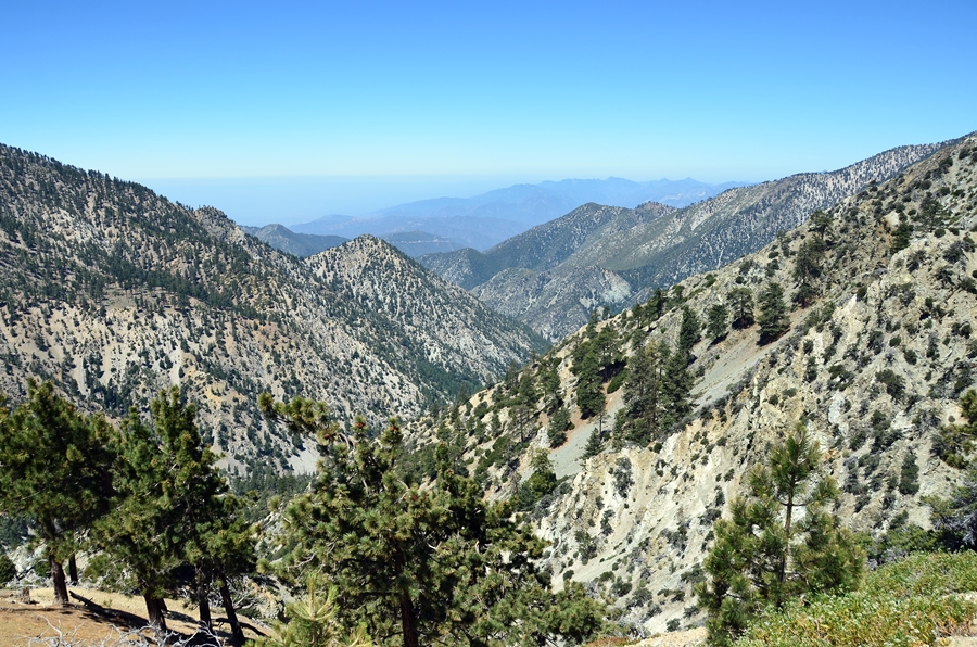DSC_4862.JPG