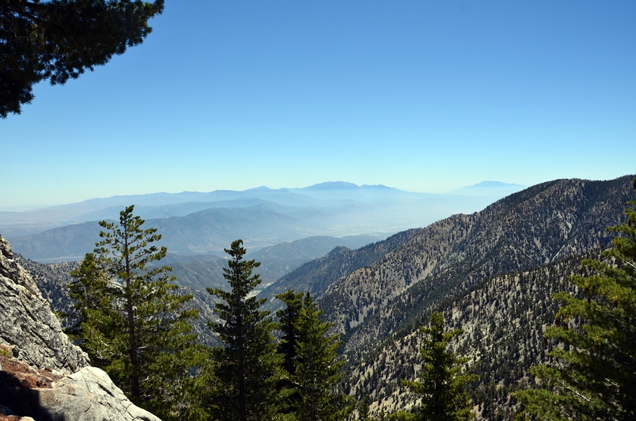 DSC_4870.JPG