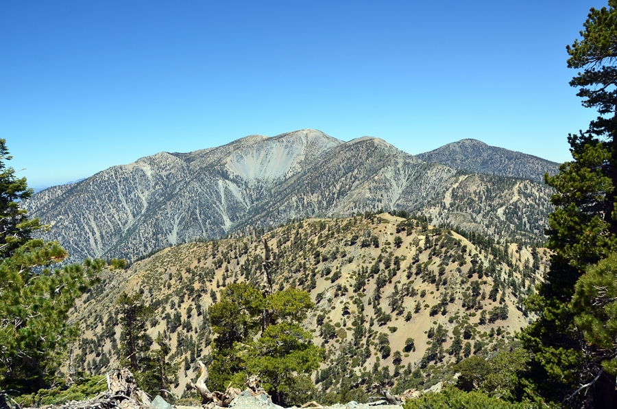 DSC_4897.JPG