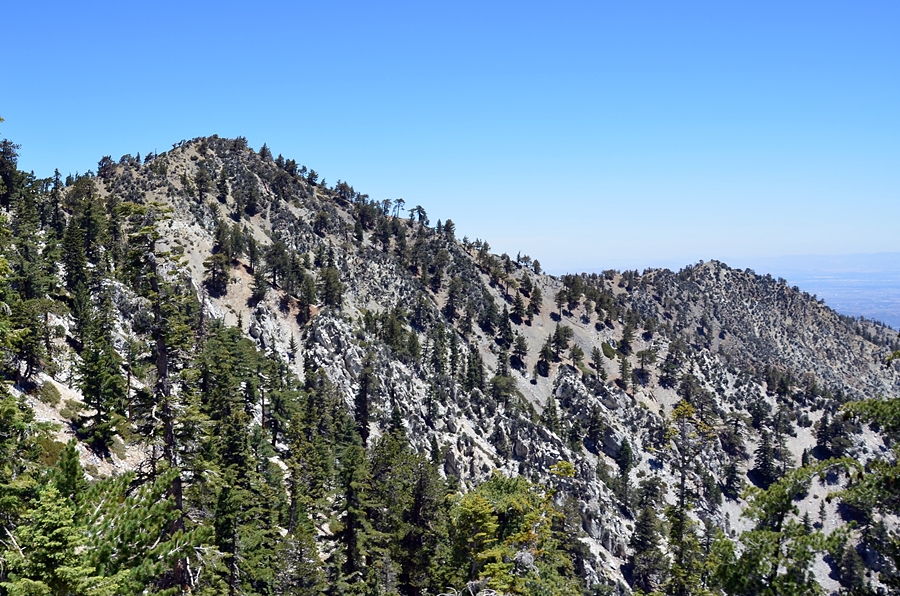 DSC_4882.JPG