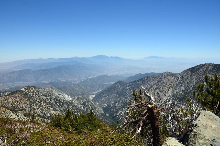 DSC_4928.JPG