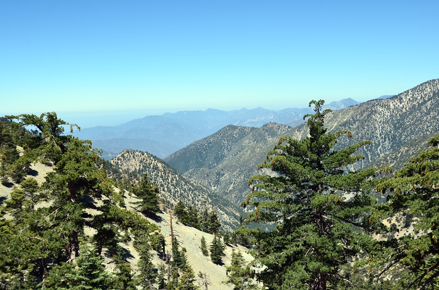 DSC_4850.JPG