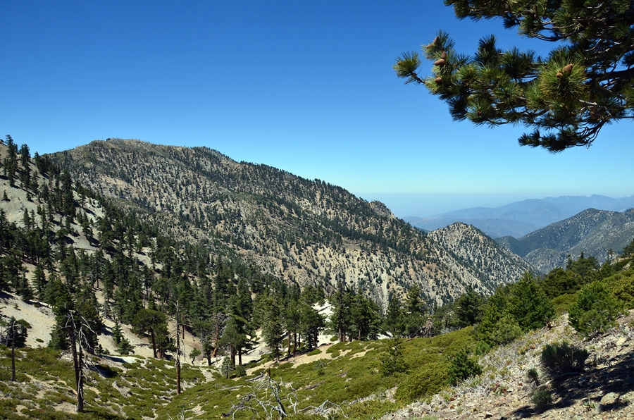 DSC_4857.JPG