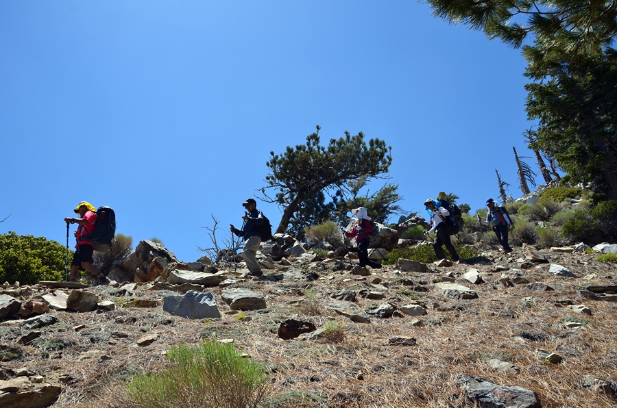 DSC_4972.JPG
