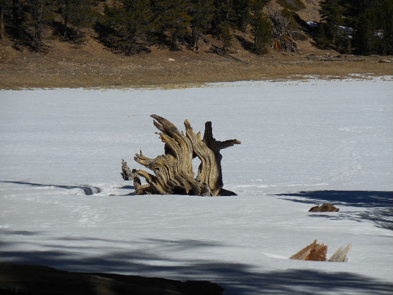 drylake22014 034.JPG
