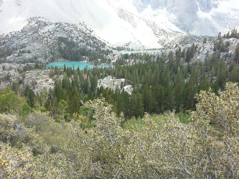 20130901_132023_resized.jpg