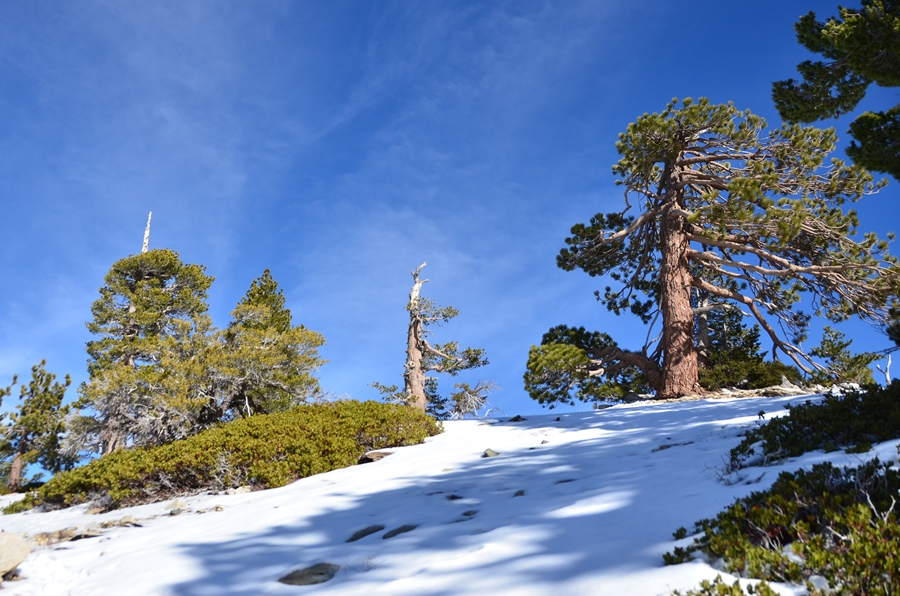 DSC_8011.JPG