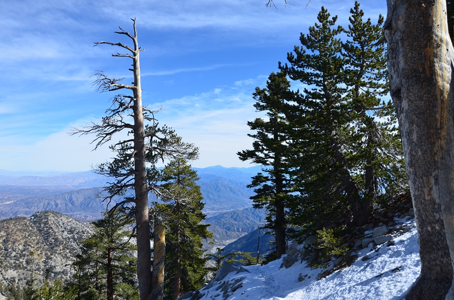 DSC_7982.JPG