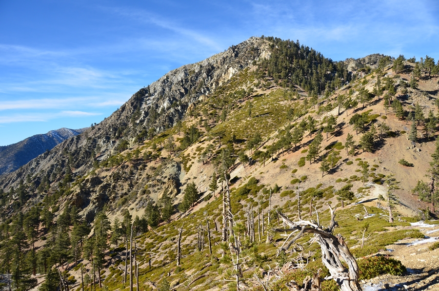 DSC_8123.JPG