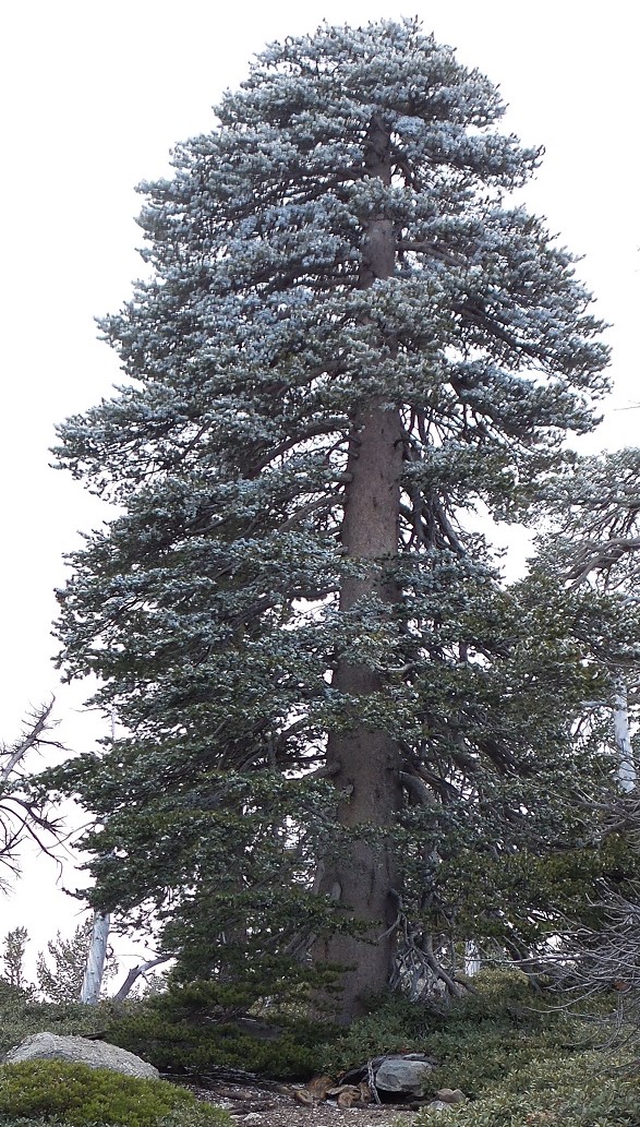 20160508_110401.jpg
