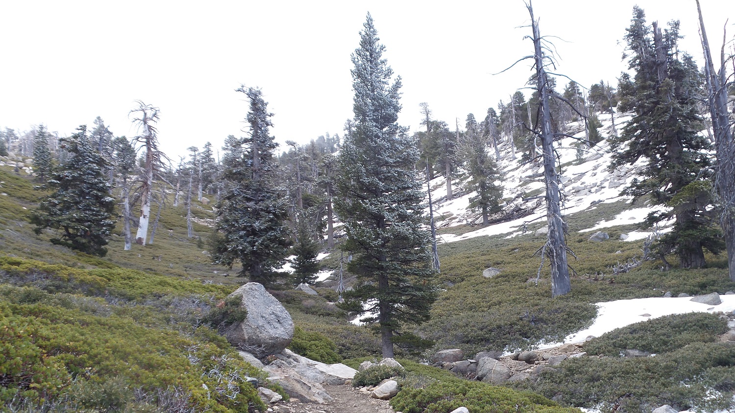 20160508_110524.jpg