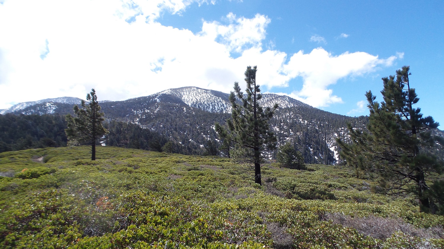 20160508_101315 - Copy.jpg