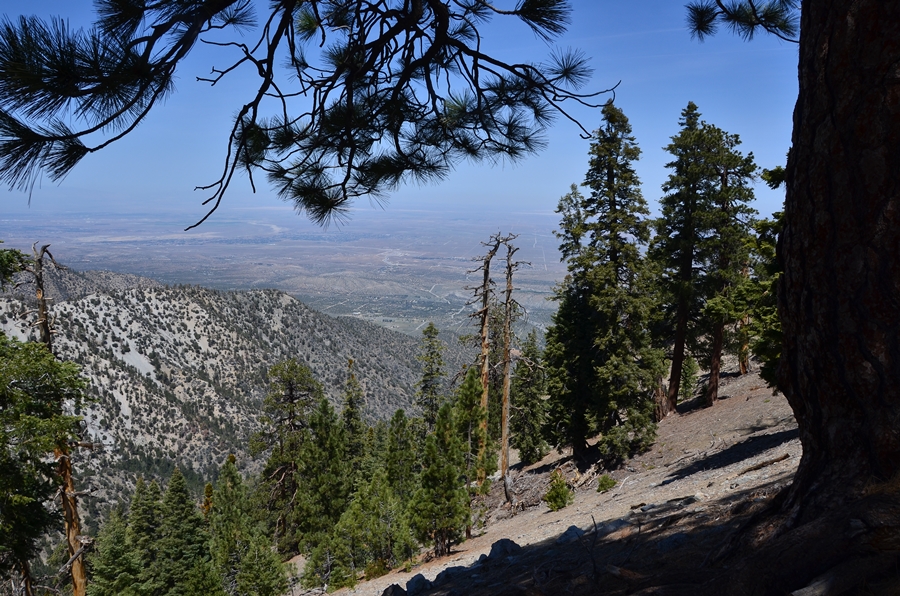 DSC_2693.JPG