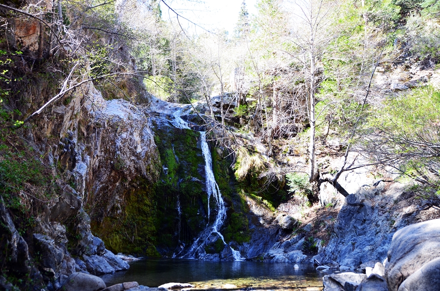 DSC_2611.JPG
