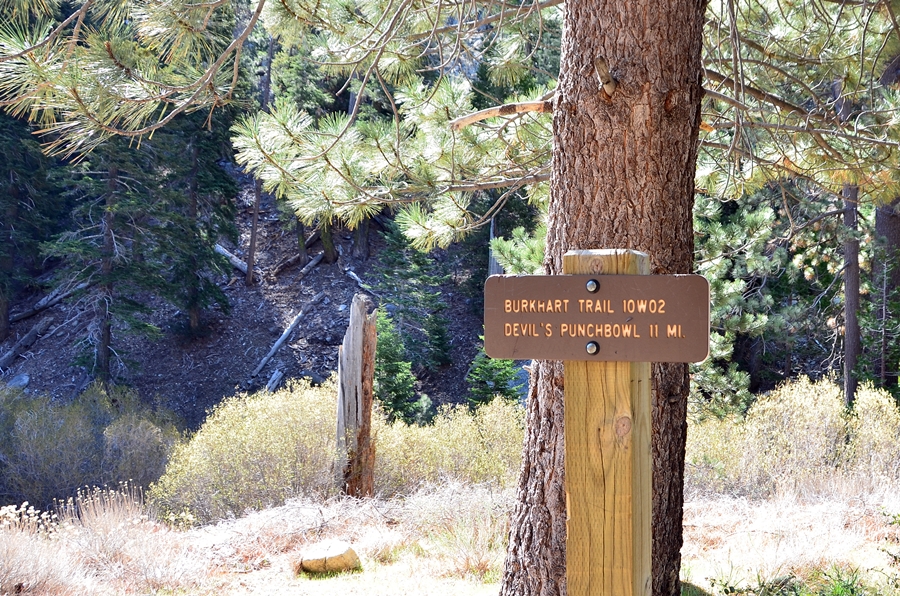 DSC_2586.JPG