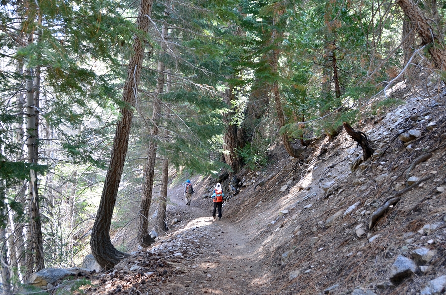 DSC_2608.JPG