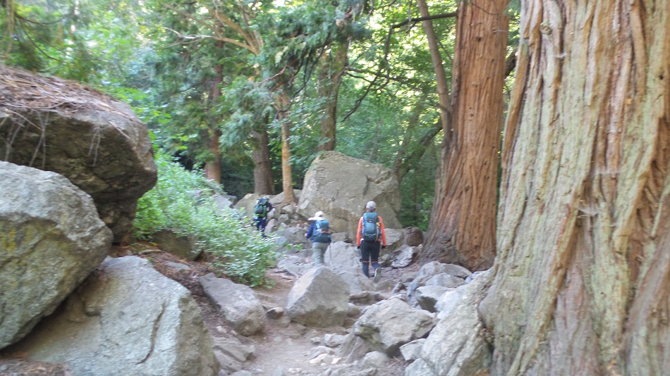20140114_173242.jpg