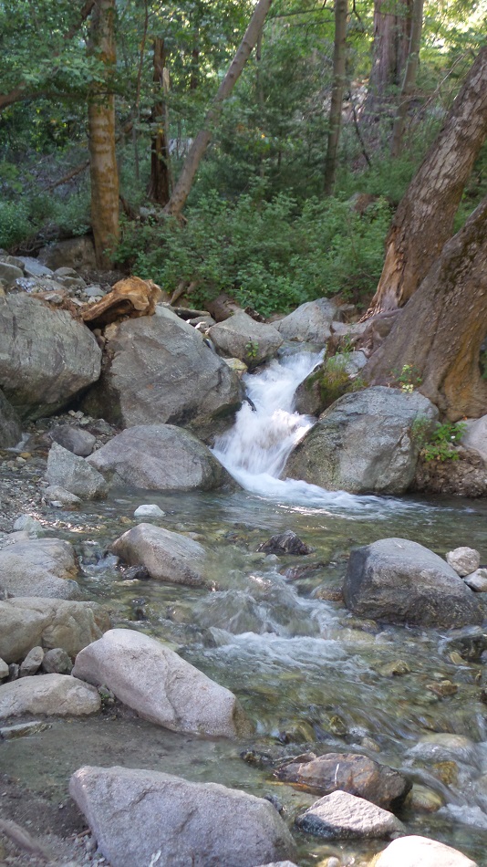 n2.jpg