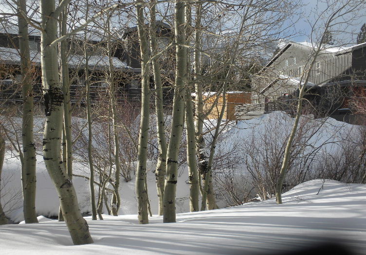 mammoth 113 048.JPG