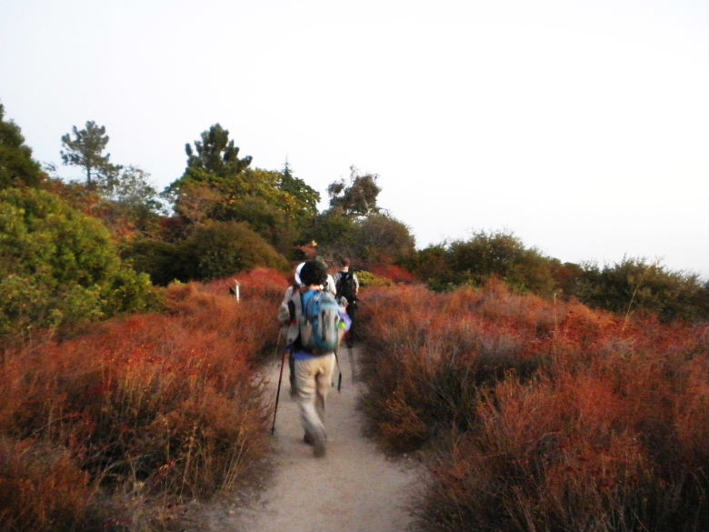 ecomt092912 026.JPG