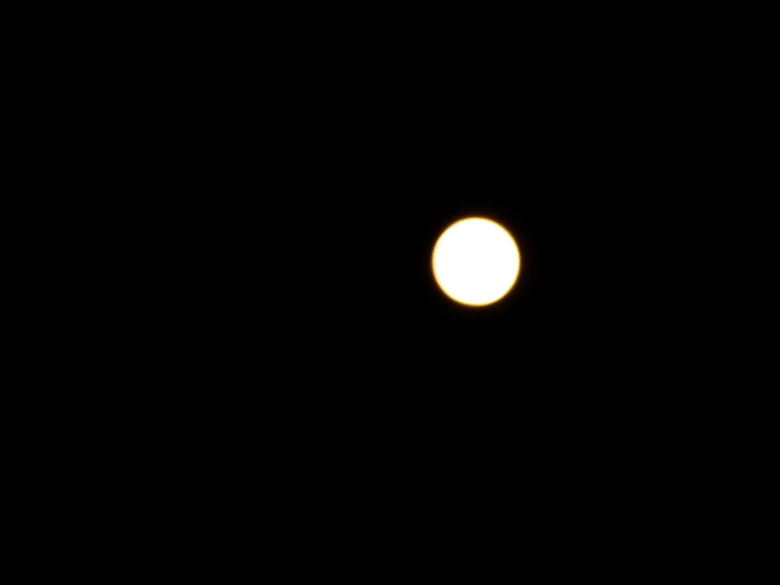 ecomt092912 044.JPG