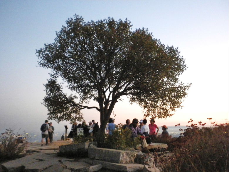 ecomt092912 030.JPG
