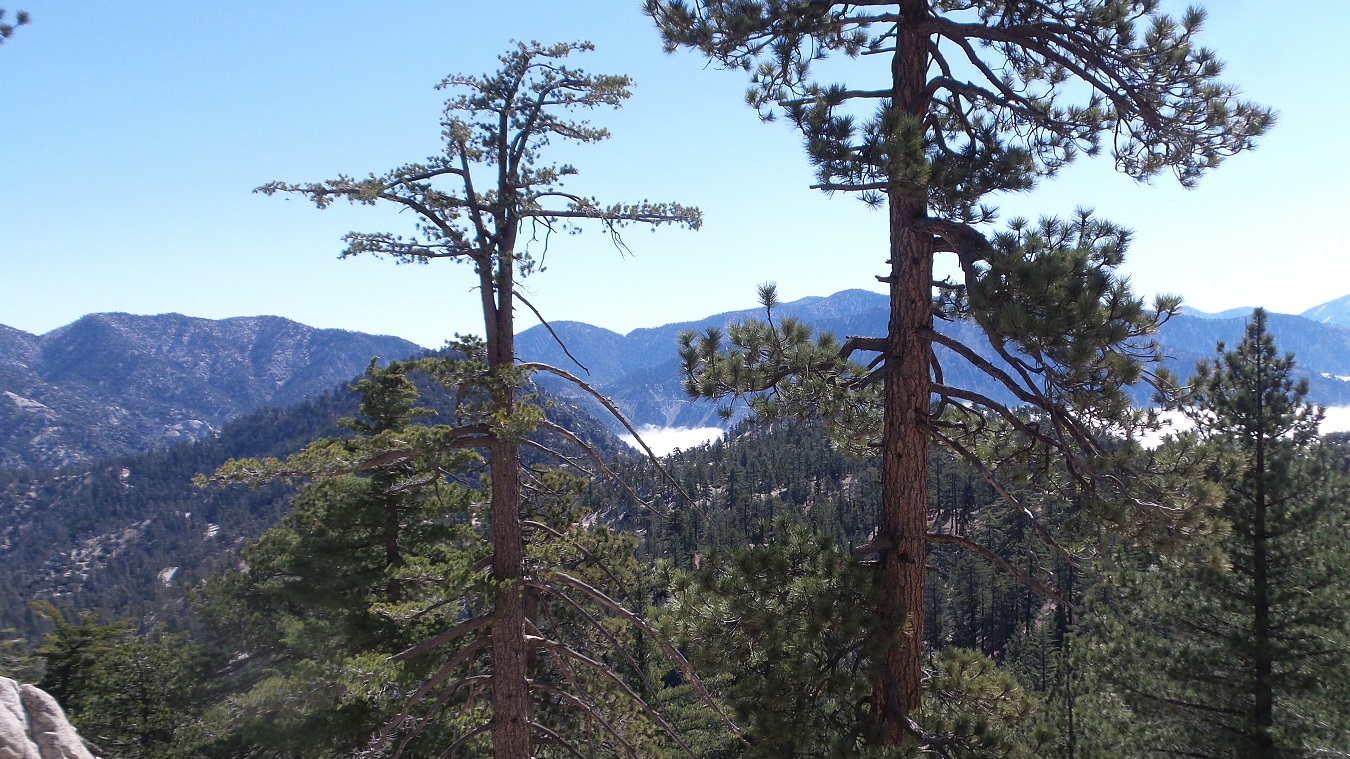 20160515_095734.jpg