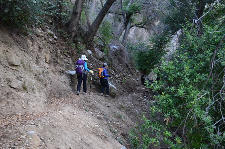 DSC_01677.jpg