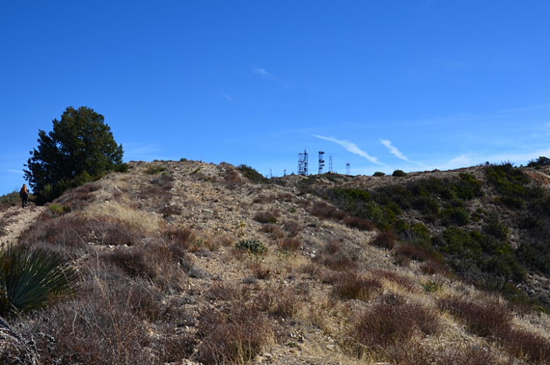 DSC_00811.jpg