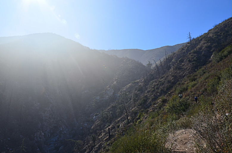 DSC_00433.jpg