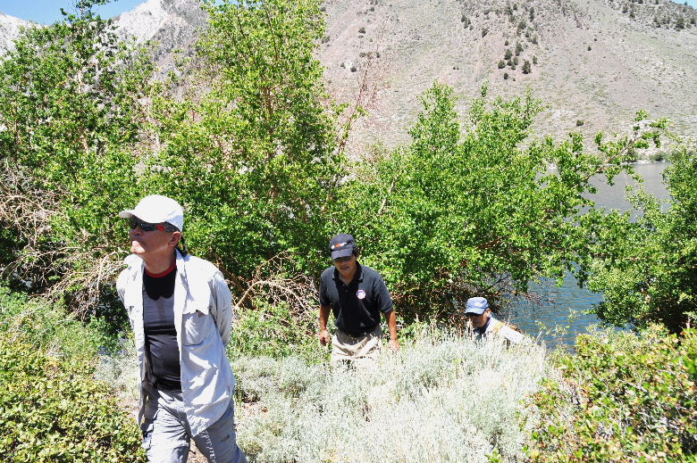 MMountain 61702 029.JPG