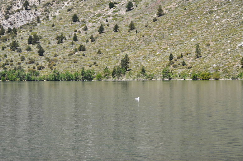 MMountain 61702 034.JPG