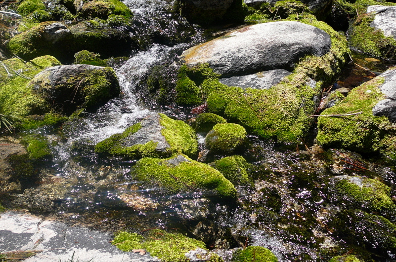 Resized  s,j 2_P1050974.JPG