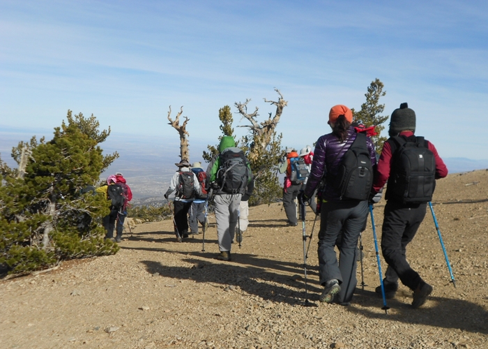 mt. 011.jpg