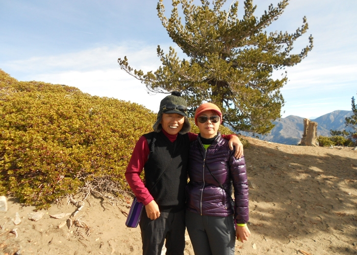 mt. 007.jpg