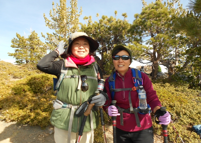 mt. 005.jpg