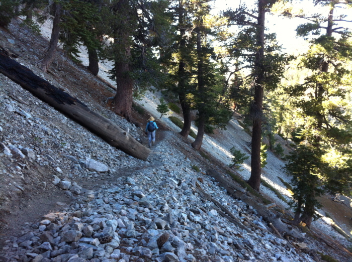Cucamonga Peak 036.jpg