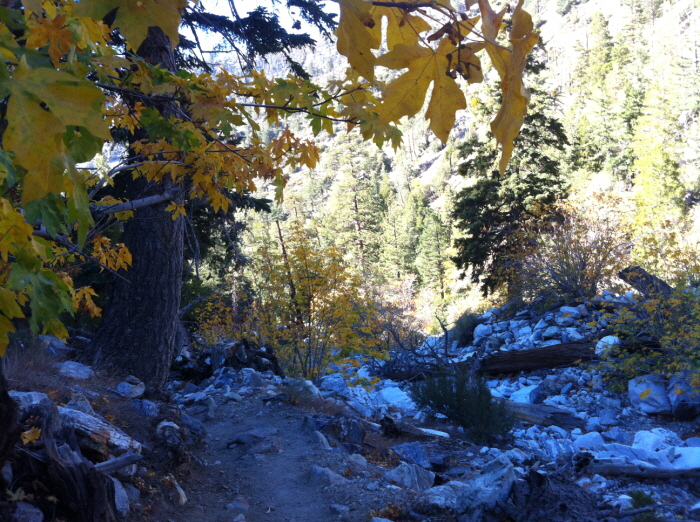 Cucamonga Peak 039.jpg
