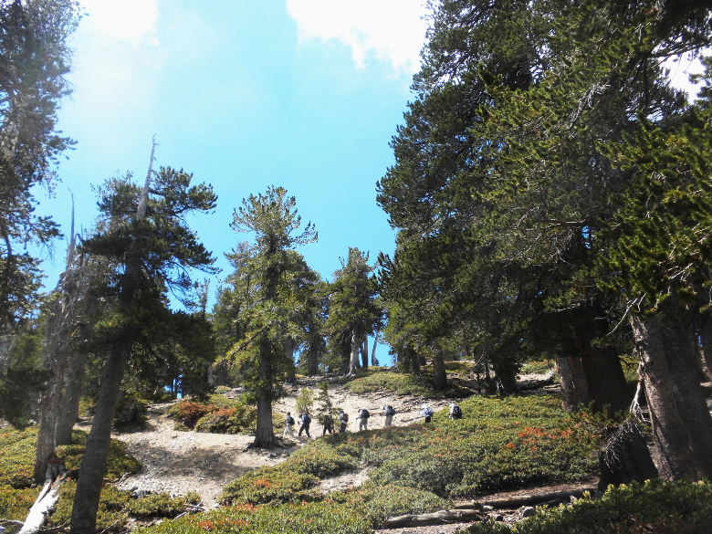 BadenPow812 024.JPG