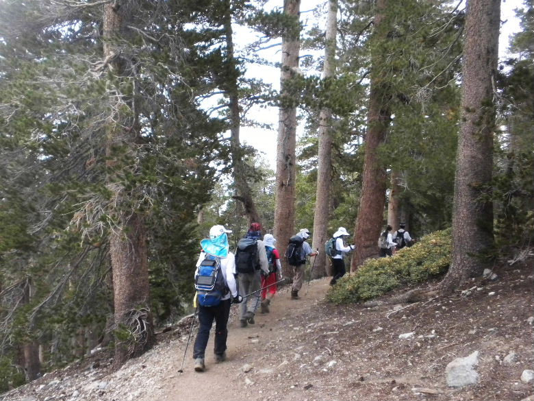 BadenPow812 043.JPG