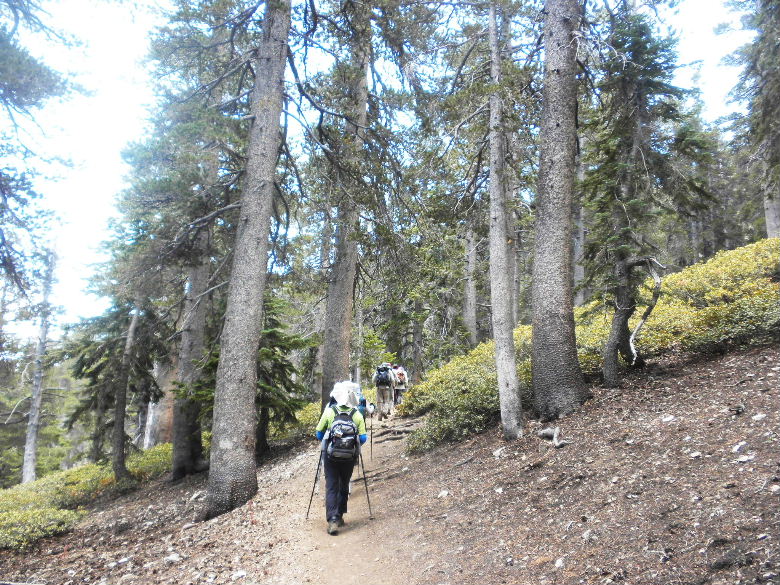 BadenPow812 023.JPG