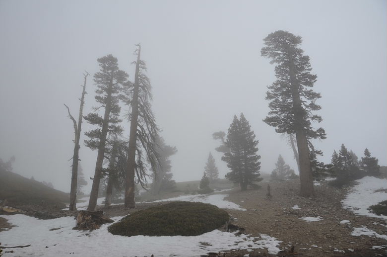 DSC_1768.JPG