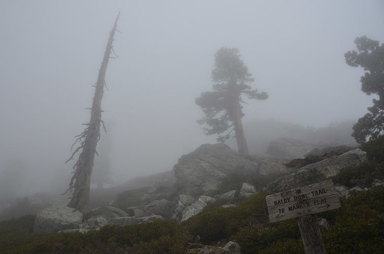 DSC_1757.JPG
