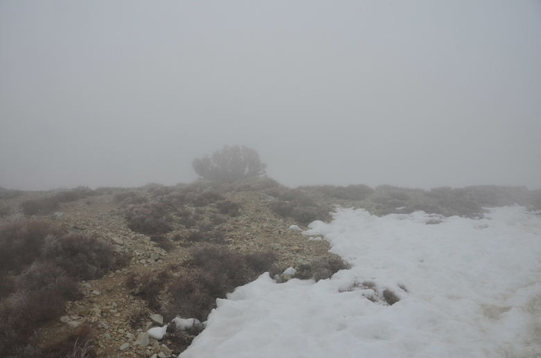 DSC_1780.JPG