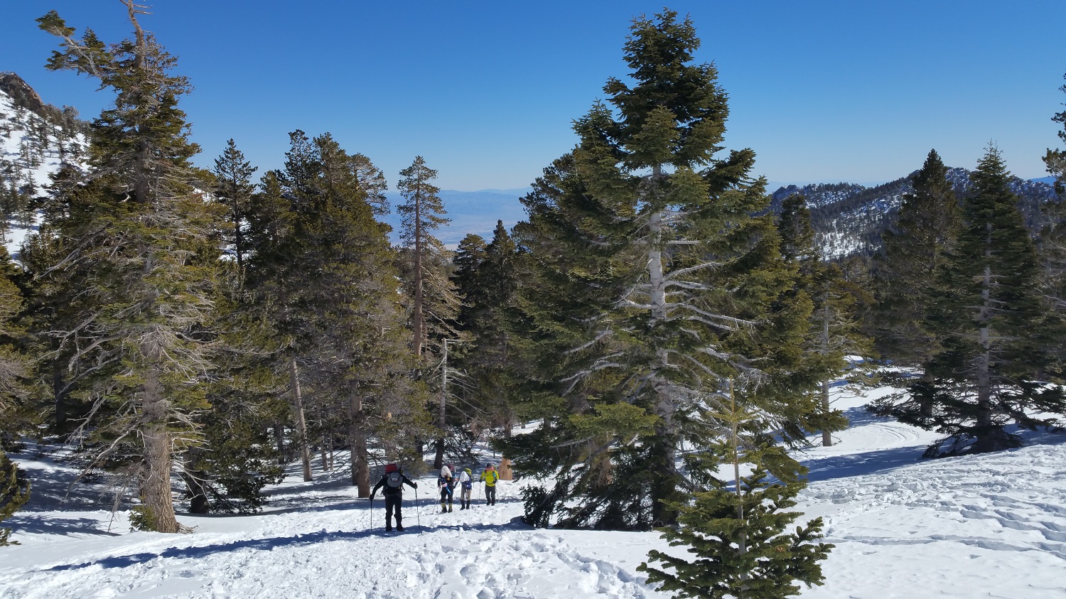 20170129_111423.jpg